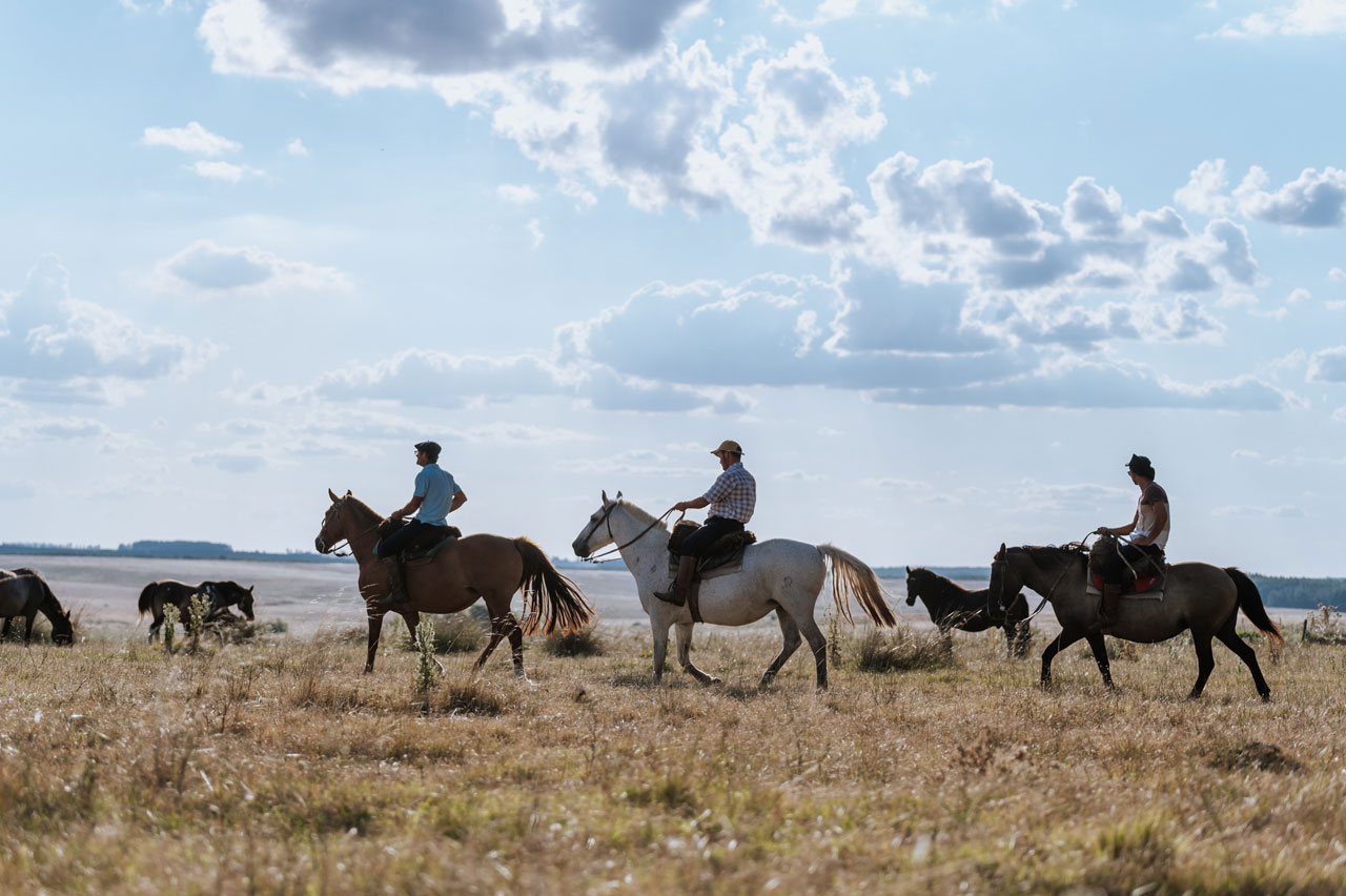 Turismo Rural y Natural